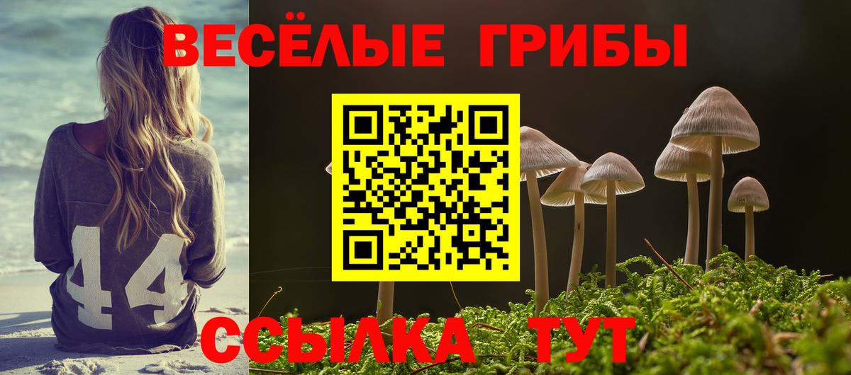 купить  цена  Вход с VPN  Сызрань  Галлюциногенные грибы Psilocybe 