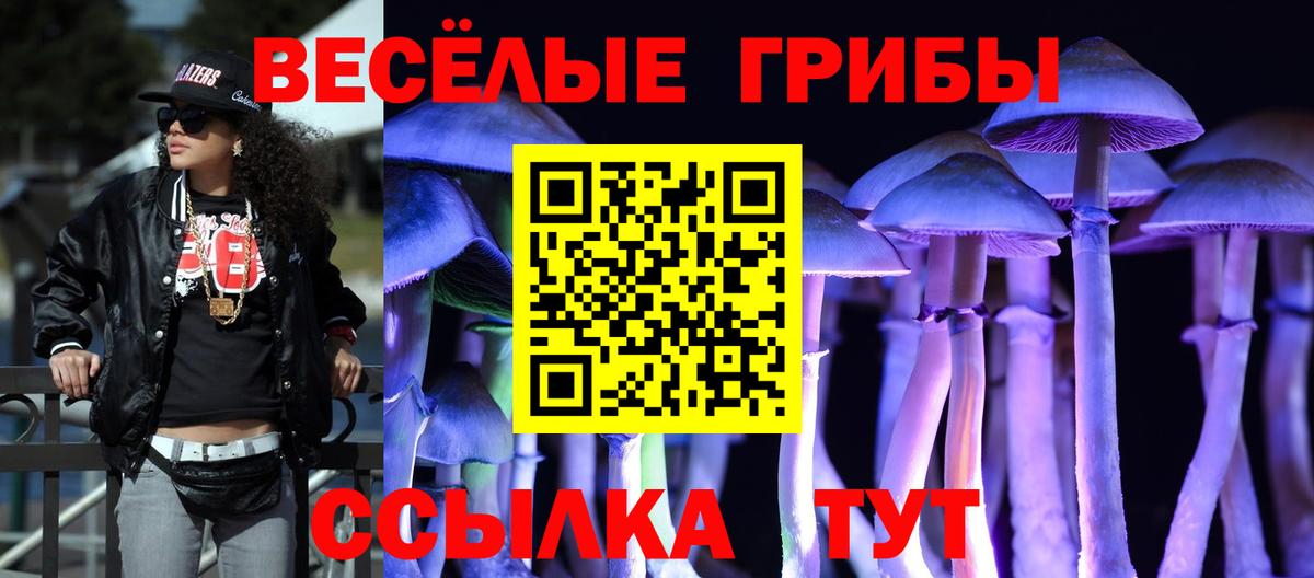 Псилоцибиновые грибы Cubensis Сызрань